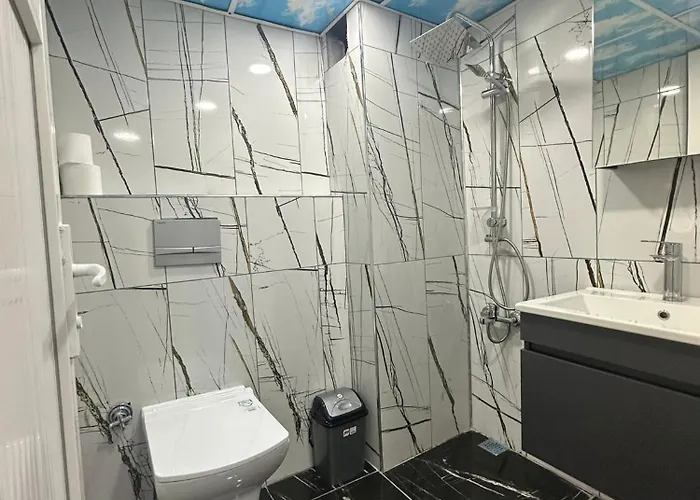 Отель Immor Akkus 2*