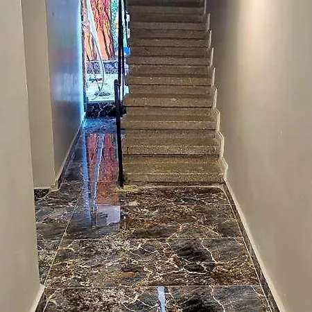 Immor Akkus Istanbul