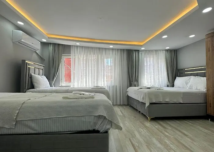 Immor Akkus Hotel Istanboel